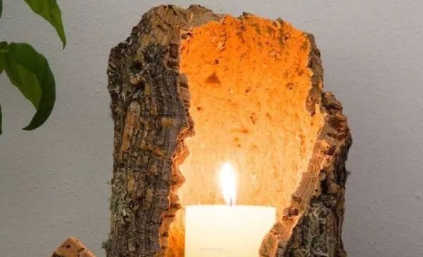 Classification de l'inflammabilité du liège