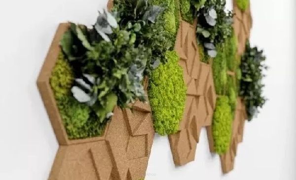 Mur végétal : une tendance formidable pour les jardins verticaux